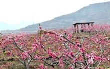 桃花源记结尾刘子骥的作用(桃花源记最后为什么写刘子骥)