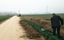 大伯抚养侄子,大伯抚养侄女