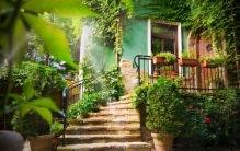 我家院子里有老鼠怎么灭掉,家里有效灭鼠方法