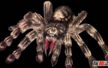 世界十大恐怖事件真实案例,十个令人毛骨悚然的真实事件