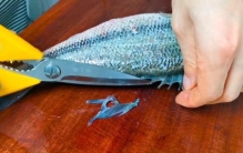 年夜饭孔雀开屏的寓意,年夜饭桌上有哪些菜是有寓意的