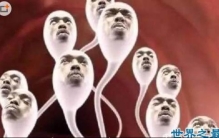 关于男人的15个世界之最,全球公认最有魅力男人