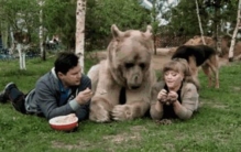 渡渡鸟是因为什么灭绝的,渡渡鸟灭绝几大原因