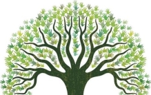 十年树木百年树人对吗(十年树木百年树人比喻培养人才是)