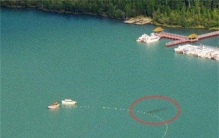 喀纳斯湖水怪未解之谜：湖中的水怪真的是15米巨型哲罗鲑吗