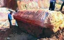 狂犬病就是僵尸病毒,僵尸杀人事实