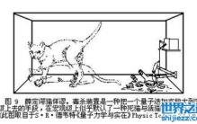 揭秘薛定谔的猫，一个无聊的实验(猫死不死铀说了算)
