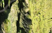 苏轼洞庭湖,湖州附近溶洞