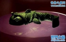 盗墓笔记十大神秘罕物，蛇眉铜鱼(汪藏海的信物)