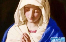 圣母白莲花是什么意思，外表小红帽内心老巫婆
