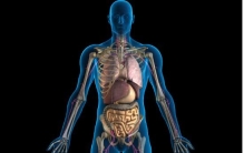 世界上最疯狂的17个真相，海洛因曾满大街出售/颠覆三观