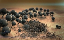 全球最毒物质,钋一克多少钱