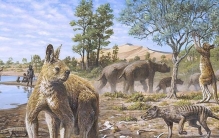 澳洲地大物博两米大鸟七米魔龙汽车大巨兽为何都灭绝了