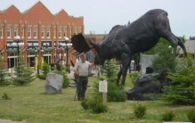 世界上最大的鹿：驼鹿体型像骆驼鹿角像铲子（长3米重1吨）