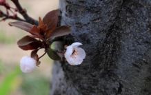 酒店见闻之光头哥的奇闻