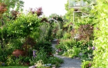 花园里虫子如何消灭,可以杀掉虫子的植物