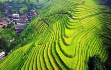 点沙成土万亩沙漠变良田卫星照片曝光北方某地一连串麦田怪圈