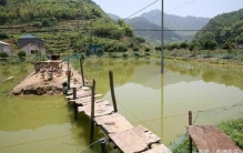 龙虾养殖场地建设,龙虾养殖基地怎么搞