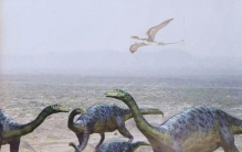 最早出现的食肉恐龙,白垩纪排名前十的恐龙