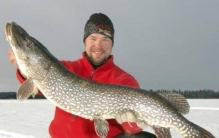 狗鱼是什么样的，超凶猛的大型肉食鱼