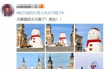 大大的雪人,盘点各地网友堆的奇葩雪人