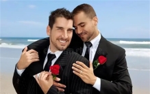 男同性恋的人群 会有更高的学术成就（特殊人群）