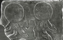 1983年蛇灾的事情,洪灾中遇到的蛇