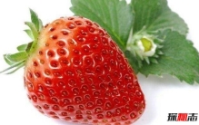 最贵的中药材一克上万 比黄金还贵的五大中药材