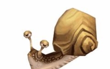 为什么说蜗牛是牙齿最多的动物之一,蜗牛的牙齿