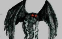 天蛾人已不再是个谜，只是一个巨大的蝙蝠而已