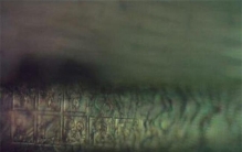 世界上最小的书 用显微镜才可以看清书本中的内容