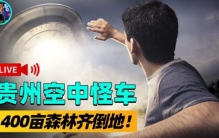 1994贵阳都溪林场神异事件,1994年贵阳都溪林场事件