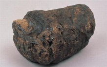 世界上最贵的粪便 龙涎香,据说来自抹香鲸的排泄物