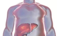 人体最大的解毒器官是什么，通过分泌生物酶解毒