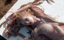 真实黑鳞鲛人吃人时的样子，据说吃的连骨头都不会剩下