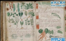 世界上最神秘的天书，伏尼契手稿(已被英国教授破译)