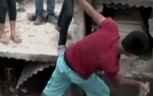 什么植物最可怕?盘点世上最可怕的十大植物