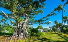 世界上最早看见太阳的地方 为什么汤加是最早看见日出的