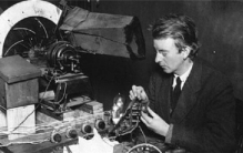 世界上最毒的动物 竟然是黄金箭毒蛙