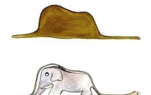 广西蟒蛇吃人是真的吗,蟒蛇能吞象吗