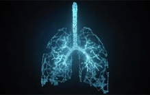 氧气突然消失，高等生物全军覆没，微生物重新成为地球的主宰？