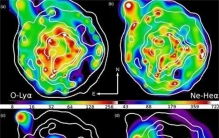 空气中的含氧量降低，大气层逐渐消失，生物还能在地球上存活吗？