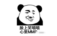 MMP导弹,攻击距离300公里的陆军战术导弹