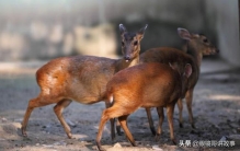 光头哥讲述真实恐怖故事「五个诡异恐怖故事」