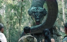 秦岭山里有蟒蛇吗,秦岭最大的蛇到底有多大