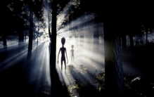 人类是进化来的吗？冥冥之中，人类或许是被高等文明创造出来的