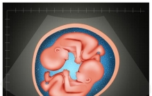 人类的身体很神奇,我们的胸廓实际上是一个(原始古猿人类进化的照片)