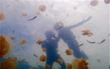 世界上十大杀人湖 尼奥斯湖含有大量甲烷和二氧化碳