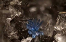 世界上最稀有的跑车，第五个像外星人造的