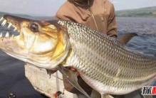 世界上最吓人的湖 被誉为杀人湖,火山爆发随时发生